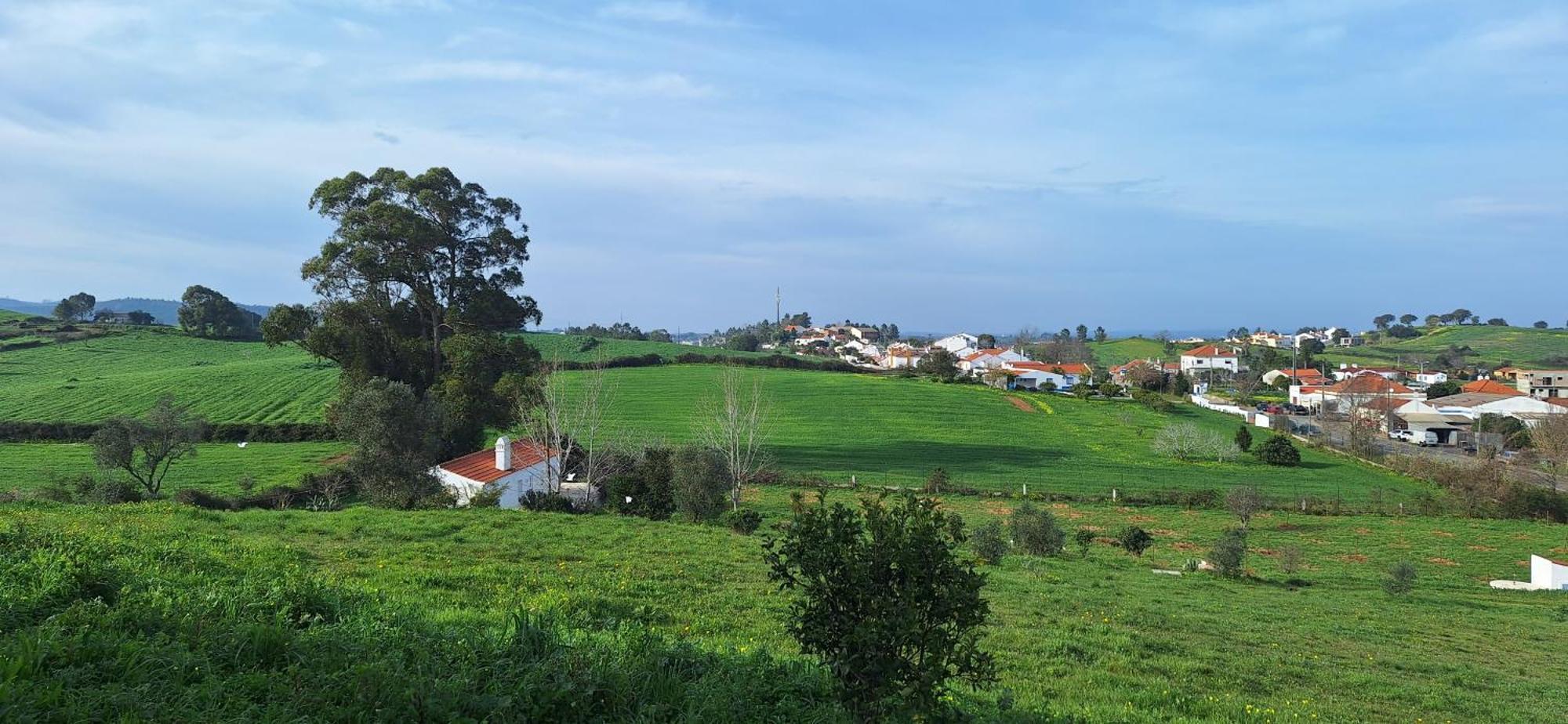Portela Guesthouse Cercal do Alentejo Buitenkant foto